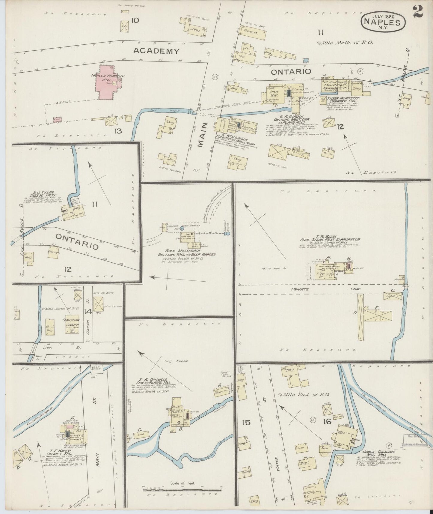 Sanborn Fire Insurance Map from Naples, Ontario County, New York (1886), Sheet #0002 - Historic Sanborn Fire Insurance Map Print, vintage old map wall art, antique decor, genealogy gift, New York New York map
