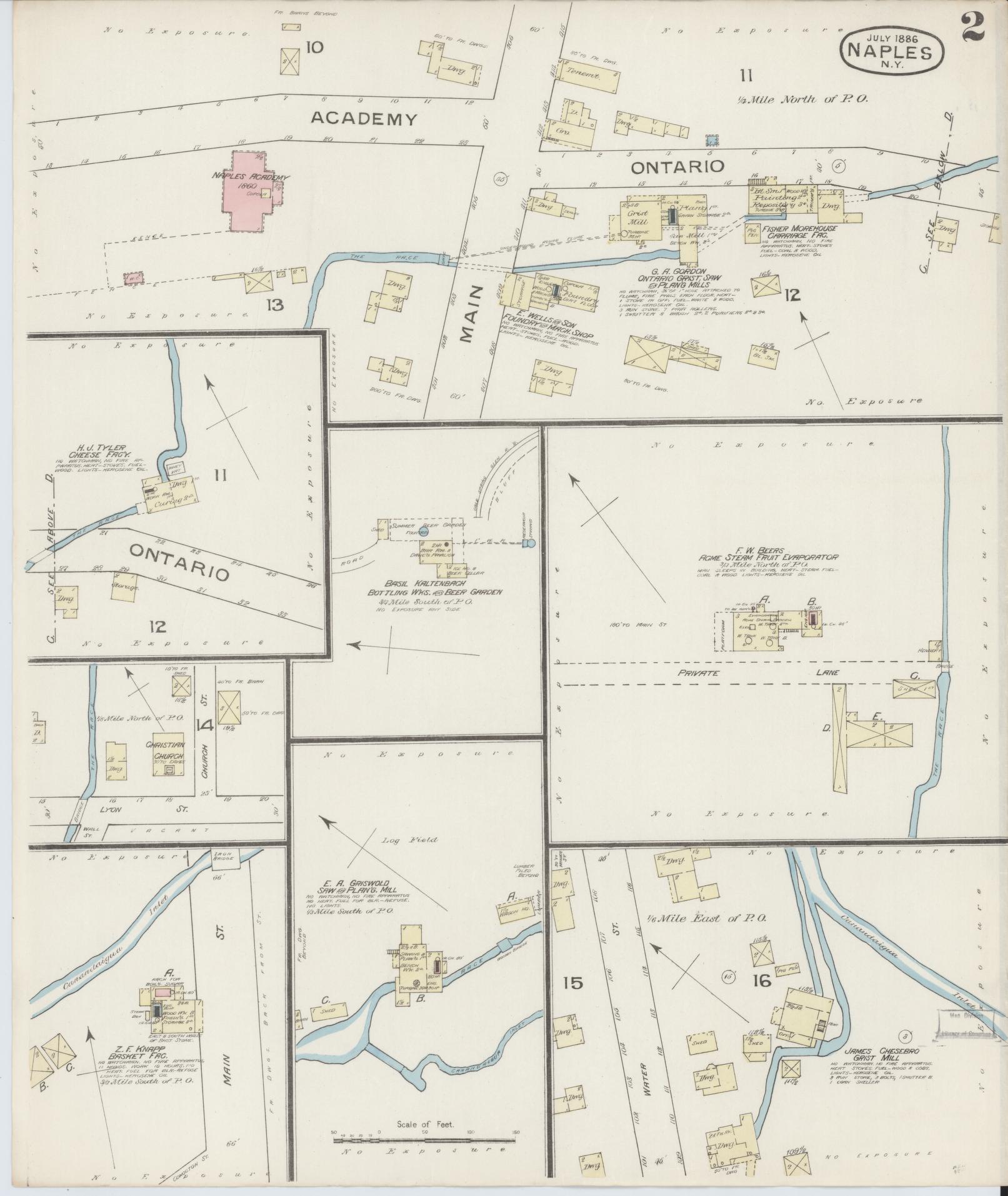 Sanborn Fire Insurance Map from Naples, Ontario County, New York (1886), Sheet #0002 - Historic Sanborn Fire Insurance Map Print, vintage old map wall art, antique decor, genealogy gift, New York New York map