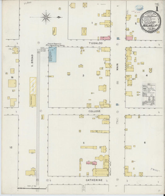 Sanborn Fire Insurance Map from Walhalla, Oconee County, South Carolina (1894), Sheet #0001 - Complete Map Set gallery image, historic Sanborn map, vintage wall art, South Carolina South Carolina