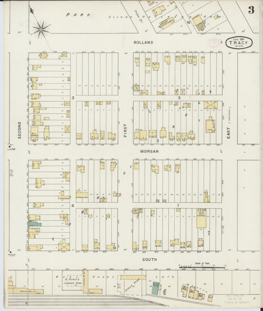 Sanborn Fire Insurance Map from Tracy, Lyon County, Minnesota (1894), Sheet #0003 - Historic Sanborn Fire Insurance Map Print, vintage old map wall art, antique decor, genealogy gift, Minnesota Minnesota map