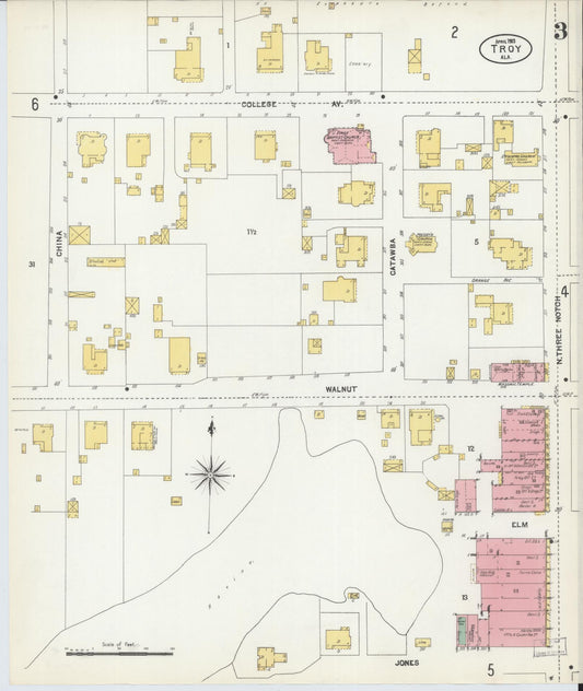 Sanborn Fire Insurance Map from Troy, Pike County, Alabama (1903), Sheet #0003 - Historic Sanborn Fire Insurance Map Print, vintage old map wall art, antique decor, genealogy gift, Alabama Alabama map