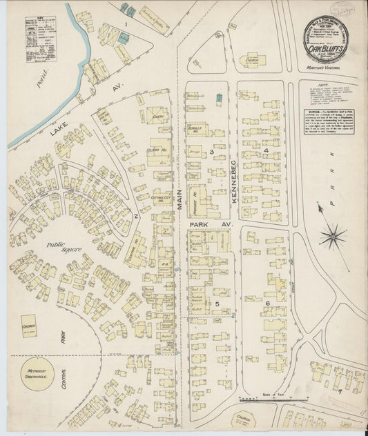 Sanborn Fire Insurance Map from Oak Bluffs, Dukes County, Massachusetts (1884), Sheet #0001 - Historic Sanborn Fire Insurance Map Print, vintage old map wall art, antique decor, genealogy gift, Massachusetts Massachusetts map