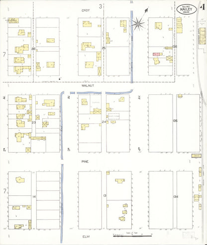 Sanborn Fire Insurance Map from Hailey, Blaine County, Idaho (1907), Sheet #0004 - Complete Map Set gallery image, historic Sanborn map, vintage wall art, Idaho Idaho