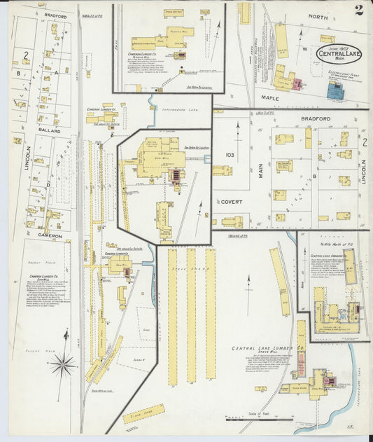 Sanborn Fire Insurance Map from Central Lake, Antrim County, Michigan (1907), Sheet #0002 - Historic Sanborn Fire Insurance Map Print, vintage old map wall art, antique decor, genealogy gift, Michigan Michigan map