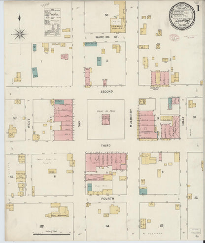 Sanborn Fire Insurance Map from Jackson, Butts County, Georgia (1895), Sheet #0001 - Complete Map Set gallery image, historic Sanborn map, vintage wall art, Georgia Georgia