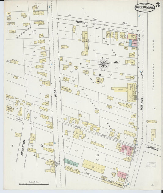 Sanborn Fire Insurance Map from Sault Sainte Marie, Chippewa County, Michigan (1890), Sheet #0003 - Historic Sanborn Fire Insurance Map Print, vintage old map wall art, antique decor, genealogy gift, Michigan Michigan map