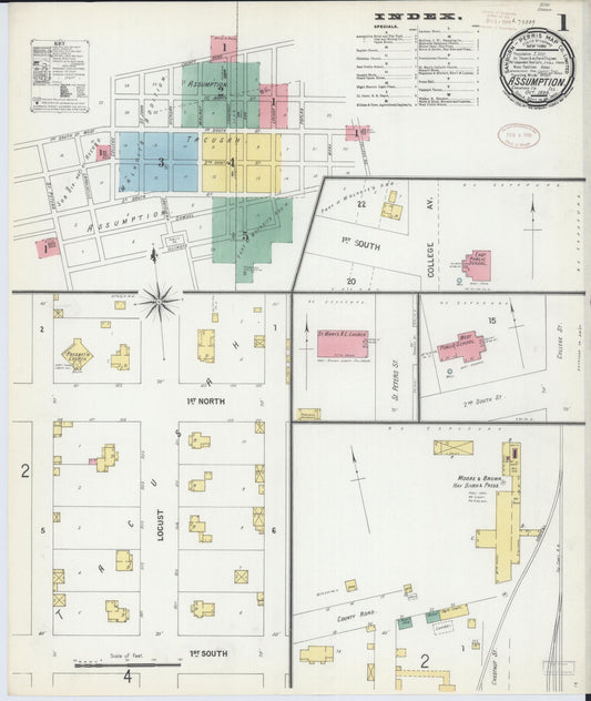 Sanborn Fire Insurance Map from Assumption, Christian County, Illinois (1899), Sheet #0001 - Historic Sanborn Fire Insurance Map Print, vintage old map wall art, antique decor, genealogy gift, Illinois Illinois map