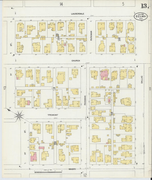 Sanborn Fire Insurance Map from Selma, Dallas County, Alabama (1903), Sheet #0013 - Historic Sanborn Fire Insurance Map Print, vintage old map wall art, antique decor, genealogy gift, Alabama Alabama map