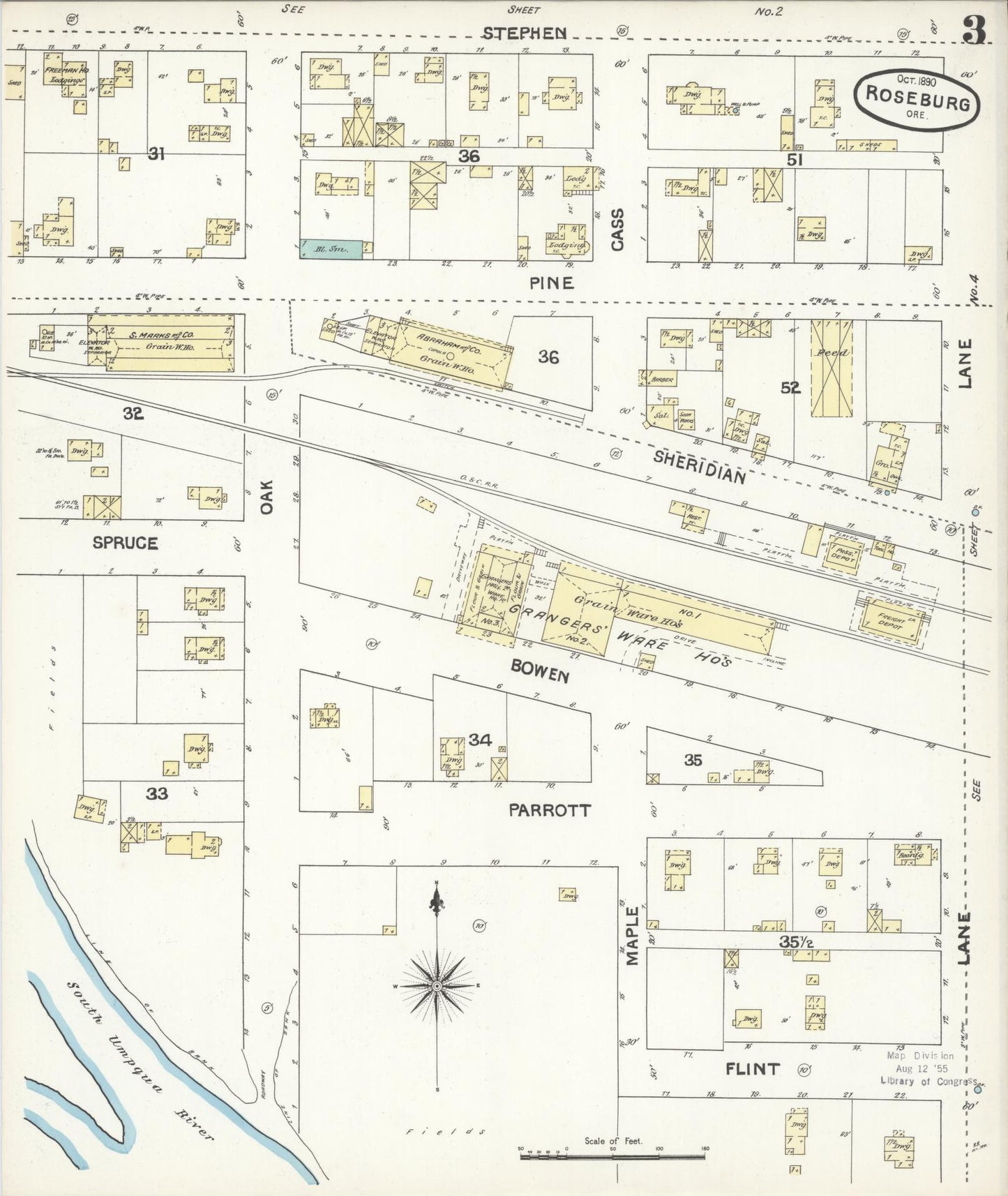 Sanborn Fire Insurance Map from Roseburg, Douglas County, Oregon (1890), Sheet #0003 - Complete Map Set gallery image, historic Sanborn map, vintage wall art, Oregon Oregon
