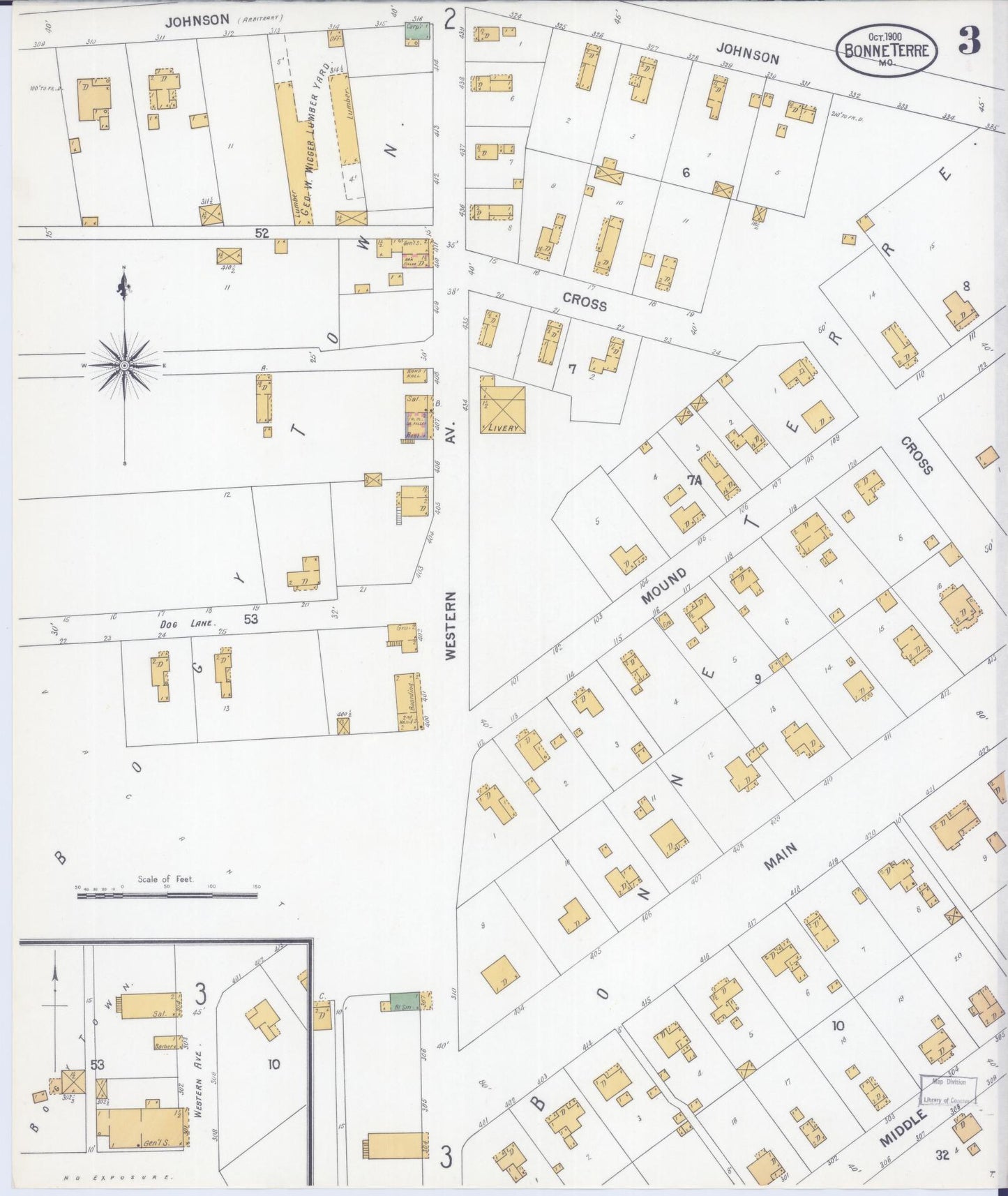 Sanborn Fire Insurance Map from Bonne Terre, Saint Francois County, Missouri (1900), Sheet #0003 - Complete Map Set gallery image, historic Sanborn map, vintage wall art, Missouri Missouri