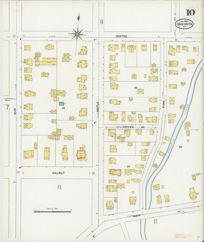 Sanborn Fire Insurance Map from Oneonta, Otsego County, New York (1905), Sheet #0010 - Historic Sanborn Fire Insurance Map Print, vintage old map wall art, antique decor, genealogy gift, New York New York map