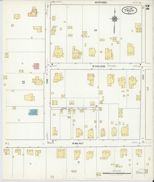 Sanborn Fire Insurance Map from Troy, Pike County, Alabama (1916), Sheet #0002 - Historic Sanborn Fire Insurance Map Print, vintage old map wall art, antique decor, genealogy gift, Alabama Alabama map