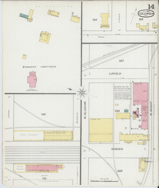 Sanborn Fire Insurance Map from Columbia, Richland County, South Carolina (1893), Sheet #0014 - Historic Sanborn Fire Insurance Map Print, vintage old map wall art, antique decor, genealogy gift, South Carolina South Carolina map