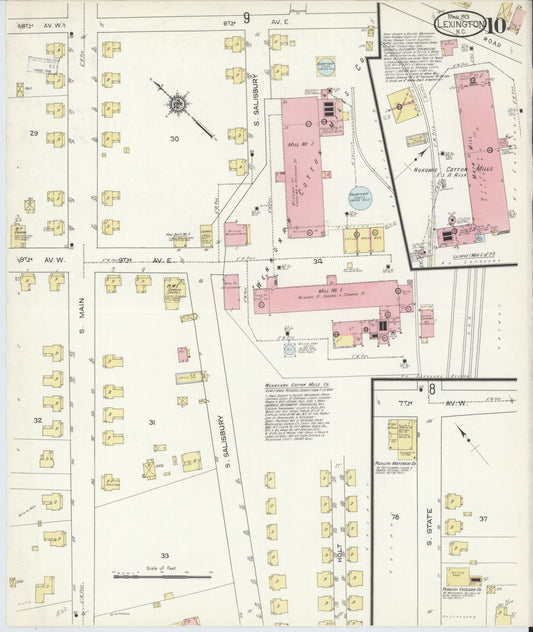 Sanborn Fire Insurance Map from Lexington, Davidson County, North Carolina (1913), Sheet #0010 - Historic Sanborn Fire Insurance Map Print, vintage old map wall art, antique decor, genealogy gift, North Carolina North Carolina map