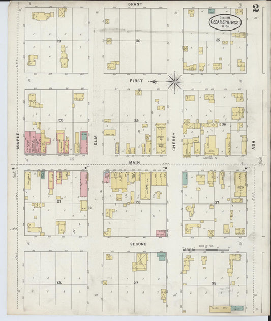 Sanborn Fire Insurance Map from Cedar Springs, Kent County, Michigan (1894), Sheet #0002 - Historic Sanborn Fire Insurance Map Print, vintage old map wall art, antique decor, genealogy gift, Michigan Michigan map