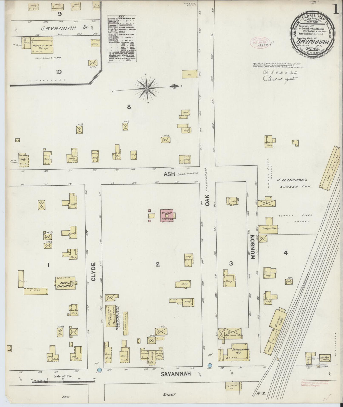 Sanborn Fire Insurance Map from Savannah, Wayne County, New York (1890), Sheet #0001 - Historic Sanborn Fire Insurance Map Print, vintage old map wall art, antique decor, genealogy gift, New York New York map
