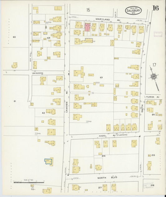 Sanborn Fire Insurance Map from Salisbury, Wicomico County, Maryland (1916), Sheet #0016 - Historic Sanborn Fire Insurance Map Print, vintage old map wall art