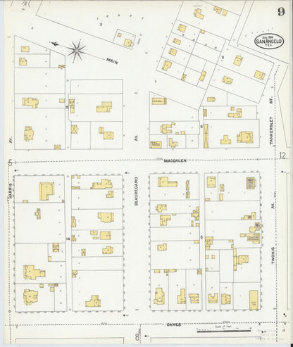 Sanborn Fire Insurance Map from San Angelo, Tom Green County, Texas (1904), Sheet #0009 - Historic Sanborn Fire Insurance Map Print, vintage old map wall art, antique decor, genealogy gift, Texas Texas map