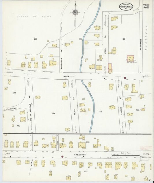 Sanborn Fire Insurance Map from Oneonta, Otsego County, New York (1910), Sheet #0021 - Historic Sanborn Fire Insurance Map Print, vintage old map wall art, antique decor, genealogy gift, New York New York map