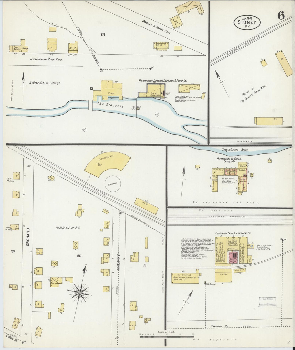Sanborn Fire Insurance Map from Sidney, Delaware County, New York (1903), Sheet #0006 - Historic Sanborn Fire Insurance Map Print, vintage old map wall art, antique decor, genealogy gift, Sidney Delaware map