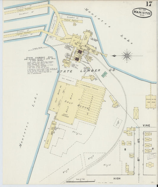 Sanborn Fire Insurance Map from Manistee, Manistee County, Michigan (1890), Sheet #0017 - Historic Sanborn Fire Insurance Map Print, vintage old map wall art, antique decor, genealogy gift, Michigan Michigan map