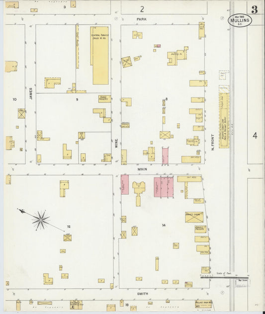 Sanborn Fire Insurance Map from Mullins, Marion County, South Carolina (1903), Sheet #0003 - Historic Sanborn Fire Insurance Map Print, vintage old map wall art, antique decor, genealogy gift, South Carolina South Carolina map