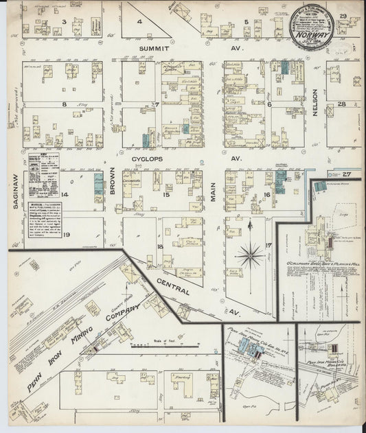 Sanborn Fire Insurance Map from Norway, Dickinson County, Michigan (1884), Sheet #0001 - Historic Sanborn Fire Insurance Map Print, vintage old map wall art, antique decor, genealogy gift, Michigan Michigan map