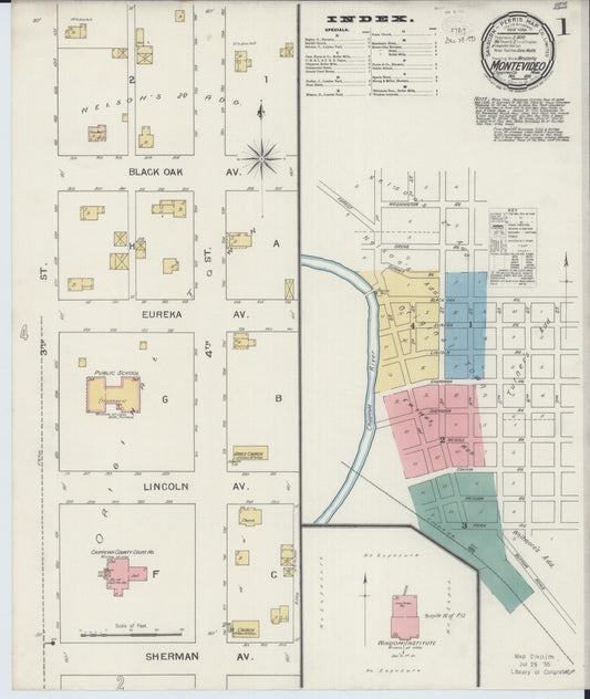 Sanborn Fire Insurance Map from Montevideo, Chippewa County, Minnesota (1893), Sheet #0001 - Historic Sanborn Fire Insurance Map Print, vintage old map wall art, antique decor, genealogy gift, Minnesota Minnesota map