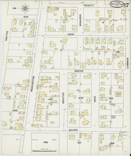 Sanborn Fire Insurance Map from Houston, Harris County, Texas (1890), Sheet #0017 - Historic Sanborn Fire Insurance Map Print, vintage old map wall art, antique decor, genealogy gift, Texas Texas map