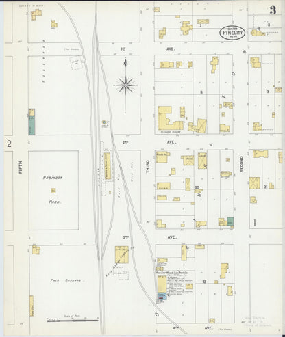 Sanborn Fire Insurance Map from Pine City, Pine County, Minnesota (1899), Sheet #0003 - Historic Sanborn Fire Insurance Map Print, vintage old map wall art, antique decor, genealogy gift, Minnesota Minnesota map