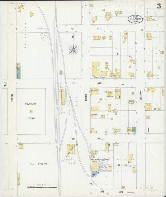 Sanborn Fire Insurance Map from Pine City, Pine County, Minnesota (1899), Sheet #0003 - Historic Sanborn Fire Insurance Map Print, vintage old map wall art, antique decor, genealogy gift, Minnesota Minnesota map