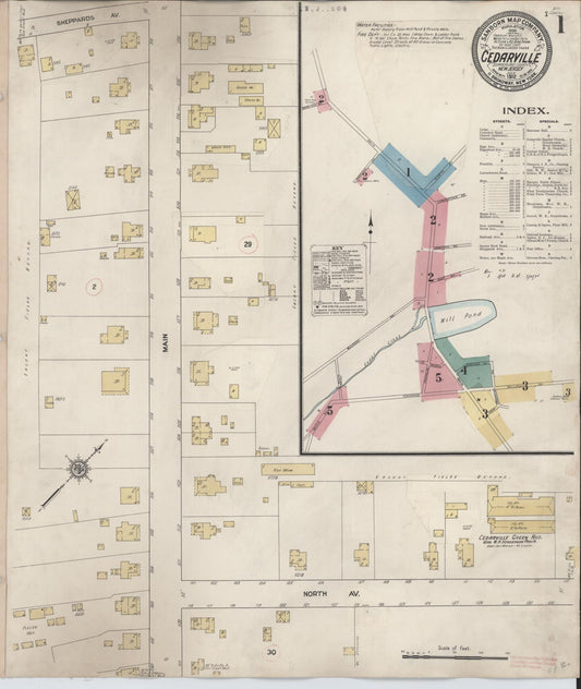 Sanborn Fire Insurance Map from Cedarville, Cumberland County, New Jersey (1928), Sheet #0001 - Historic Sanborn Fire Insurance Map Print, vintage old map wall art, antique decor, genealogy gift, New Jersey New Jersey map
