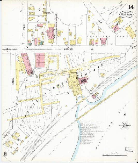 Sanborn Fire Insurance Map from Muscatine, Muscatine County, Iowa (1899), Sheet #0014 - Historic Sanborn Fire Insurance Map Print, vintage old map wall art