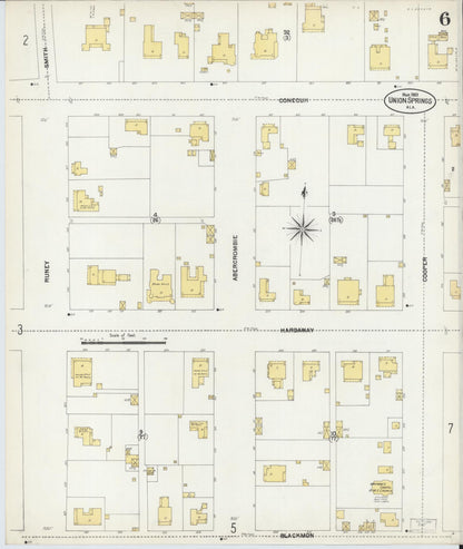 Sanborn Fire Insurance Map from Union Springs, Bullock County, Alabama (1903), Sheet #0006 - Complete Map Set gallery image, historic Sanborn map, vintage wall art, Alabama Alabama