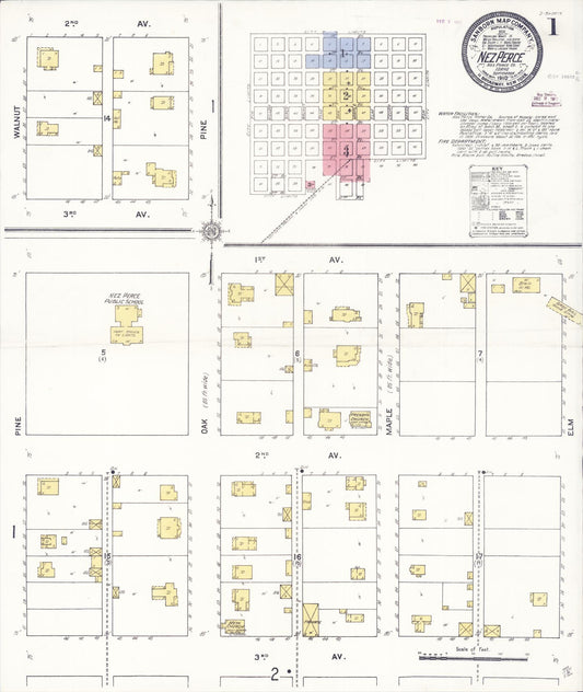 Sanborn Fire Insurance Map from Nez Perce, Lewis County, Idaho (1910), Sheet #0001 - Historic Sanborn Fire Insurance Map Print, vintage old map wall art, antique decor, genealogy gift, Idaho Idaho map