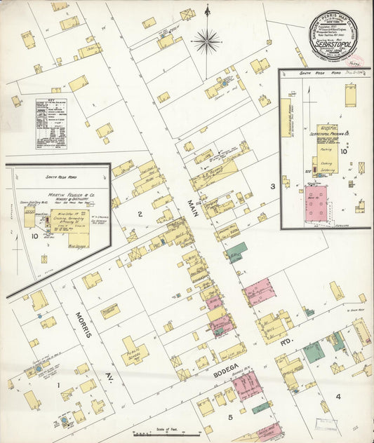 Sanborn Fire Insurance Map from Sebastopol, Sonoma County, California. (1894) – Historic Sanborn Fire Insurance Map Print