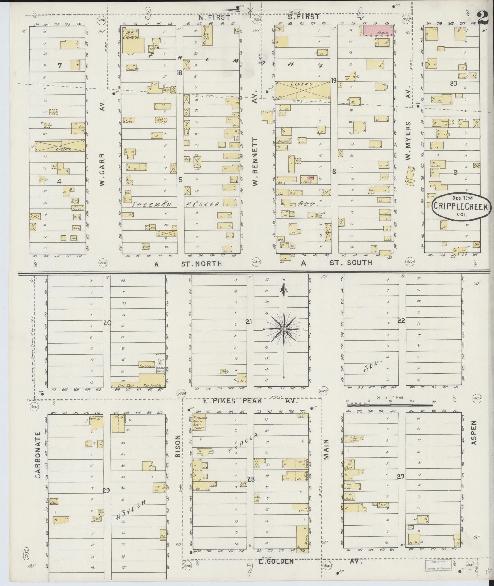 Sanborn Fire Insurance Map from Cripple Creek, Teller County, Colorado (1894), Sheet #0002 - Complete Map Set gallery image, historic Sanborn map, vintage wall art, Colorado Colorado