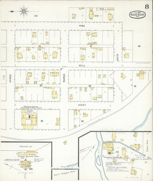Sanborn Fire Insurance Map from Roseburg, Douglas County, Oregon (1895), Sheet #0008 - Historic Sanborn Fire Insurance Map Print, vintage old map wall art, antique decor, genealogy gift, Oregon Oregon map