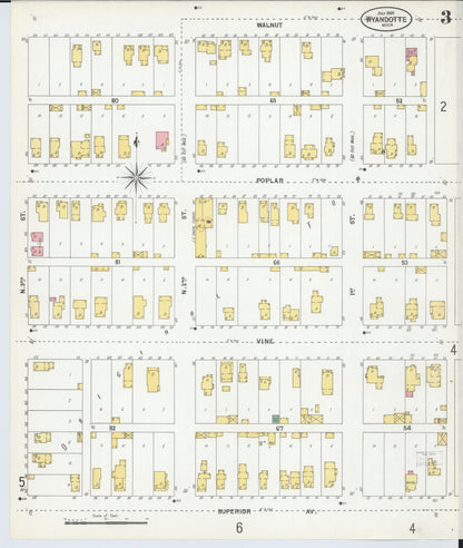 Sanborn Fire Insurance Map from Wyandotte, Wayne County, Michigan (1900), Sheet #0003 - Historic Sanborn Fire Insurance Map Print, vintage old map wall art, antique decor, genealogy gift, Michigan Michigan map