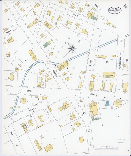 Sanborn Fire Insurance Map from Bonne Terre, Saint Francois County, Missouri (1900), Sheet #0004 - Historic Sanborn Fire Insurance Map Print, vintage old map wall art, antique decor, genealogy gift, Missouri Missouri map