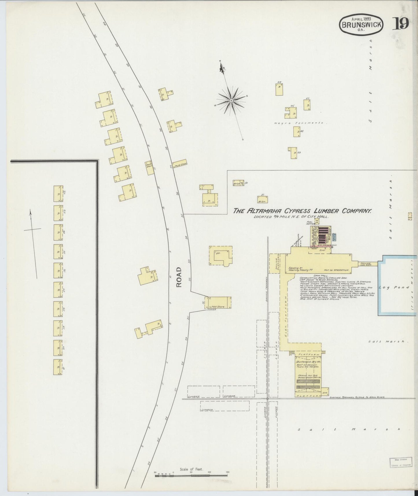 Sanborn Fire Insurance Map from Brunswick, Glynn County, Georgia (1893), Sheet #0019 - Historic Sanborn Fire Insurance Map Print, vintage old map wall art, antique decor, genealogy gift, Georgia Georgia map