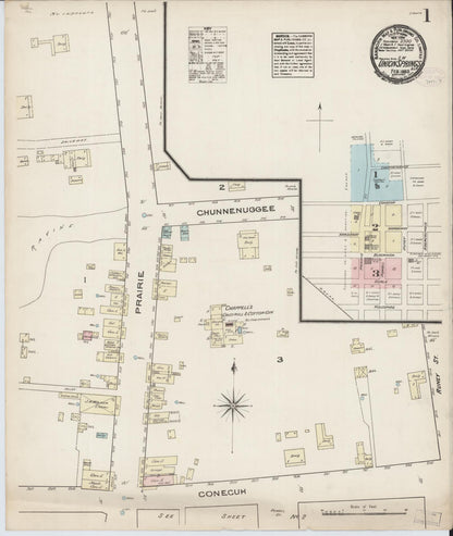Sanborn Fire Insurance Map from Union Springs, Bullock County, Alabama (1885), Sheet #0001 - Complete Map Set gallery image, historic Sanborn map, vintage wall art, Alabama Alabama