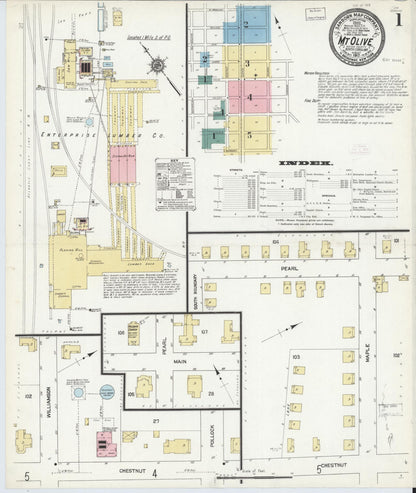 Sanborn Fire Insurance Map from Mount Olive, Wayne County, North Carolina (1912), Sheet #0001 - Historic Sanborn Fire Insurance Map Print, vintage old map wall art, antique decor, genealogy gift, North Carolina North Carolina map