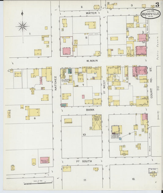 Sanborn Fire Insurance Map from Woodville, Wilkinson County, Mississippi (1893), Sheet #0003 - Historic Sanborn Fire Insurance Map Print, vintage old map wall art, antique decor, genealogy gift, Mississippi Mississippi map