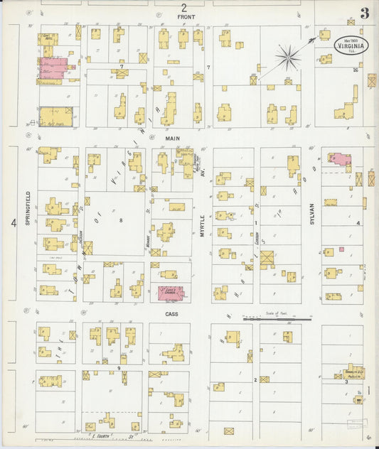 Sanborn Fire Insurance Map from Virginia, Cass County, Illinois (1900), Sheet #0003 - Historic Sanborn Fire Insurance Map Print, vintage old map wall art, antique decor, genealogy gift, Virginia Virginia map
