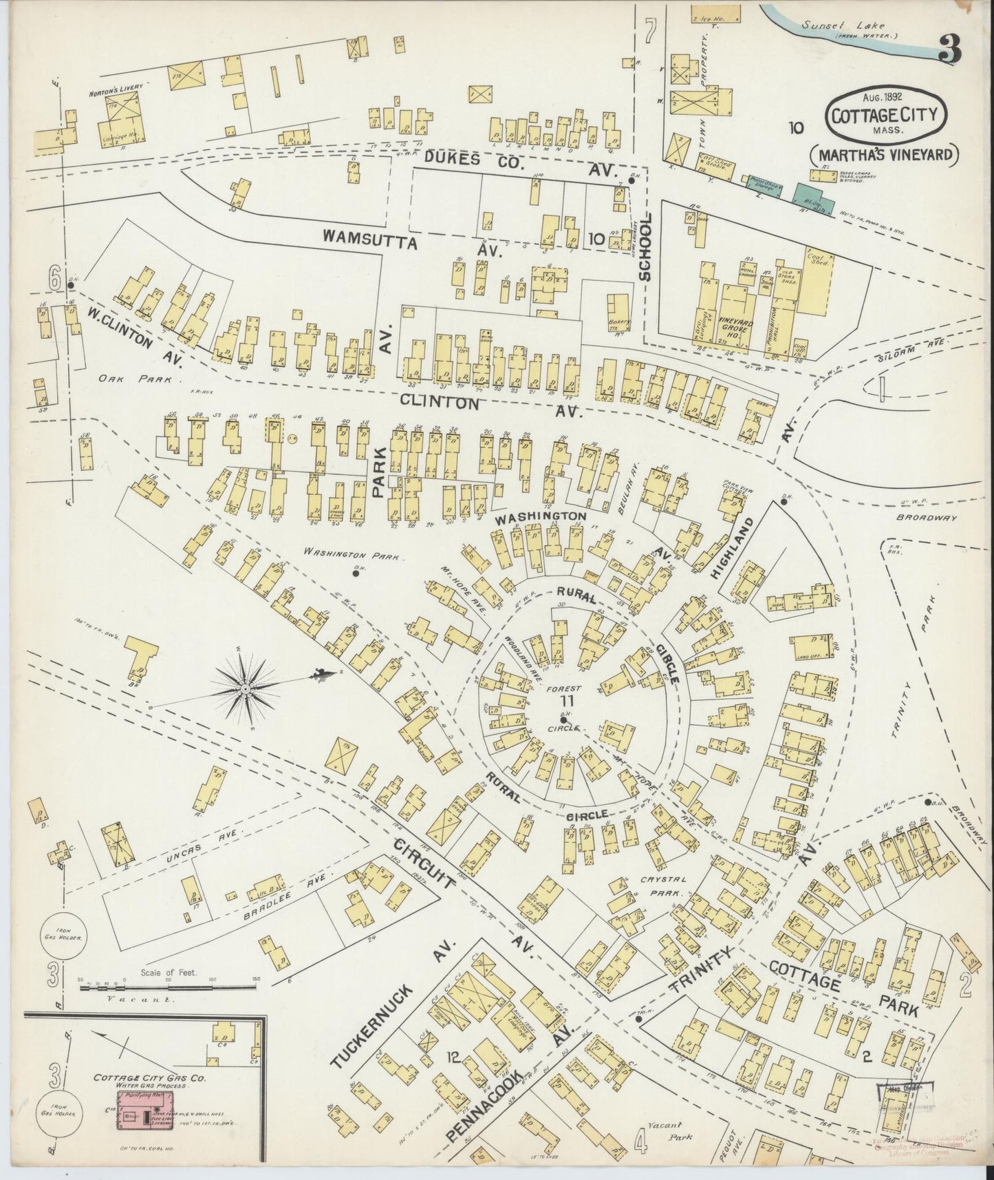 Sanborn Fire Insurance Map from Cottage City, Dukes County, Massachusetts (1892), Sheet #0003 - Complete Map Set gallery image, historic Sanborn map, vintage wall art, Massachusetts Massachusetts