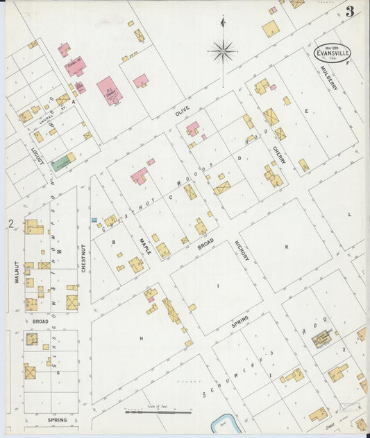 Sanborn Fire Insurance Map from Evansville, Randolph County, Illinois (1899), Sheet #0003 - Historic Sanborn Fire Insurance Map Print, vintage old map wall art, antique decor, genealogy gift, Illinois Illinois map