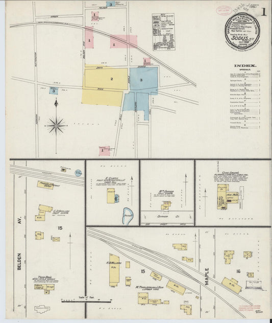 Sanborn Fire Insurance Map from Sodus, Wayne County, New York (1889), Sheet #0001 - Complete Map Set gallery image, historic Sanborn map, vintage wall art, New York New York