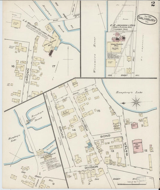 Sanborn Fire Insurance Map from Salisbury, Wicomico County, Maryland (1885), Sheet #0002 - Historic Sanborn Fire Insurance Map Print, vintage old map wall art