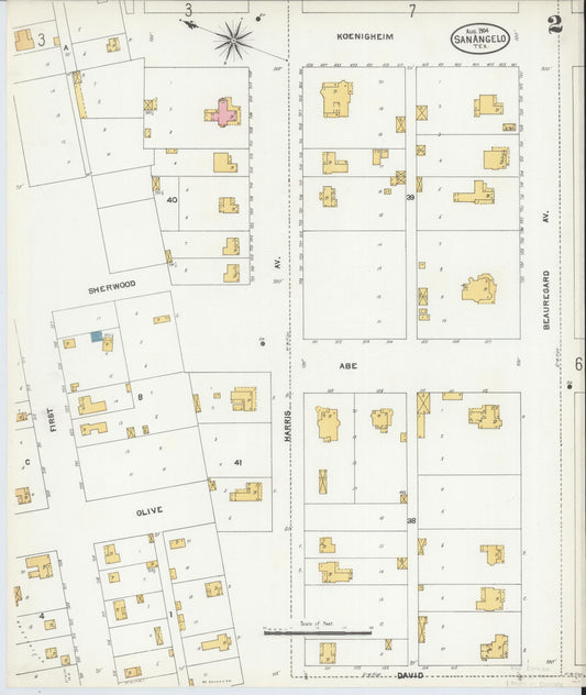 Sanborn Fire Insurance Map from San Angelo, Tom Green County, Texas (1904), Sheet #0002 - Historic Sanborn Fire Insurance Map Print, vintage old map wall art, antique decor, genealogy gift, Texas Texas map